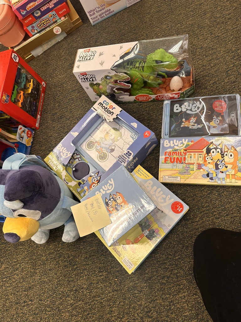 Bluey books, a plush toy and a dinosaur gift selected for a child